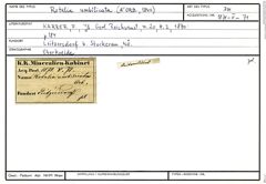 Karteikarte zum Belegmaterial von Rotalia umbilicata (d'Orbigny, 1840)